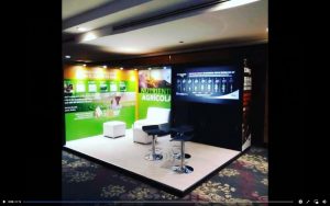 Stands economicos custom