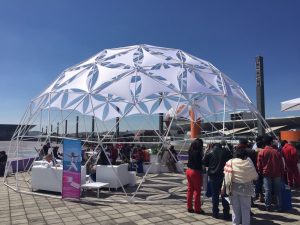 Carpas y toldos en renta
