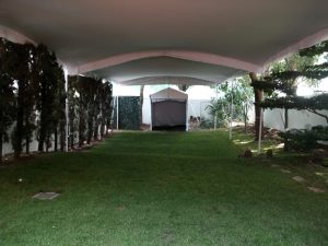 toldos panoramicos en renta