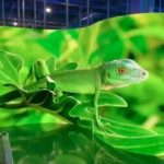 Pantalla_módulos_curvos_exterior_Led_